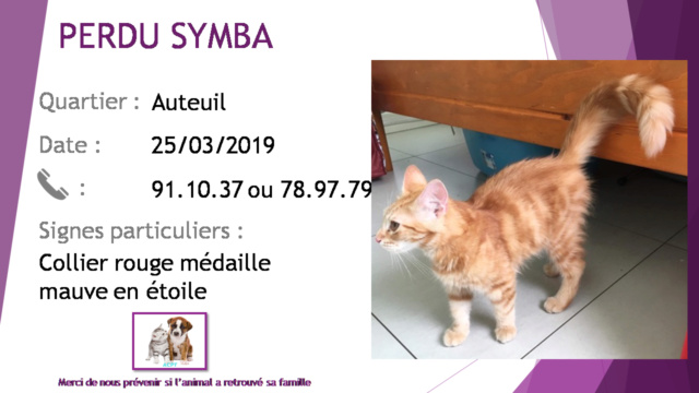 chaton - PERDU SIMBA chaton tigré roux collier rouge médaille mauve étoile à Auteuil le 25/03/2019 20190475