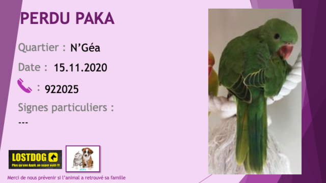 PERDU PAKA collier des Indes vert bague rouge n°8 à N'Géa le 15/11/2020 Perd1073