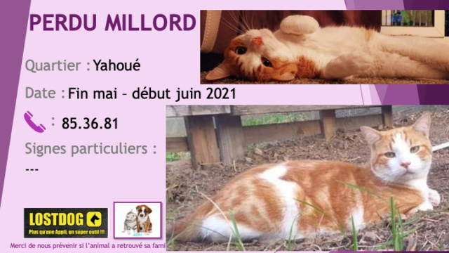 PERDU MILLORD chat tigré roux et blanc à Yahoué fin mai - début juin 2021 Perd1586
