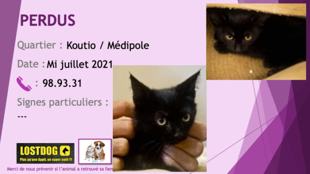 PERDUS 2 chatons noirs mâle et femelle pucés à Koutio / Médipole mi juillet 2021 Perd1692