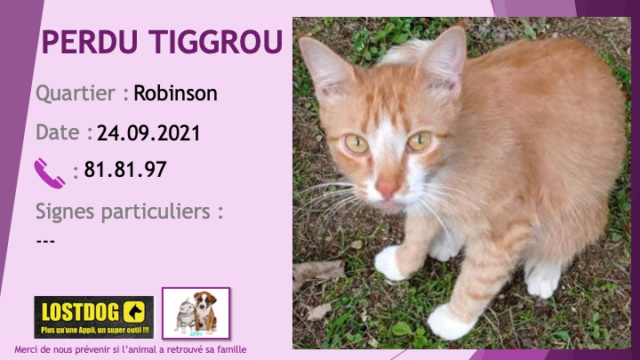 PERDU TIGGROU chat légèrement tigré roux avec chaussettes, poitrail, bout de nez sur le cou blancs à Robinson le 24/09/2021 Perd1827