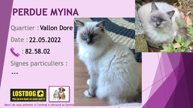 chatte - PERDUE NYIMA chatte ragdoll pucée au Vallon Dore le 22.05.2022 Perd2379