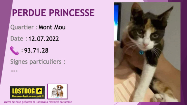 PERDUE PRINCESSE chatte 3 couleurs (isabelle) blanche beige noire pucée au Mont Mou  Paita le 12.07.2022 Perd2461