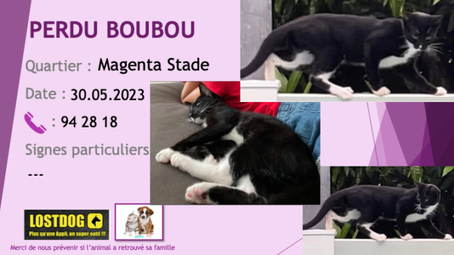 PERDU BOUBOU chat noir et blanc petite tache blanche sur le nez à Magenta Stade le 30.05.2023 Perd3016