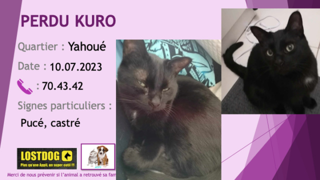 blanche - PERDU KURO chat noir toute petite tache blanche poitrail castré pucé à Yahoué le 10.07.2023 Perd3081