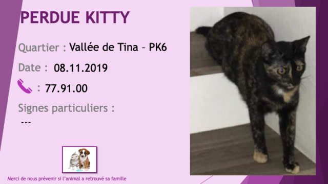 chatte - PERDUE KITTY chatte écaille de tortue à la Vallée de Tina Pk6 le 08/11/2019 Perdu349