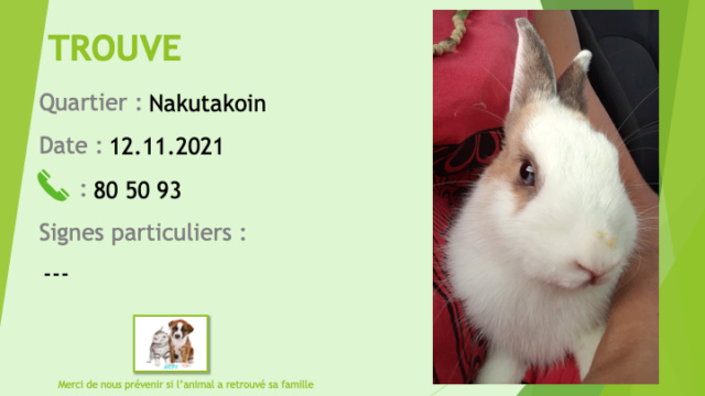 Trouvé - TROUVE lapin blanc oreilles marron tour des yeux beige à Nakutakoin le 12/11/2021 Trou1727