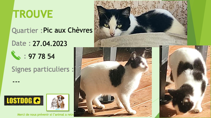 Trouvé - TROUVE chat noir et blanc au Pic au Chèvre Apogoti le 27.04.2023 Trou2706