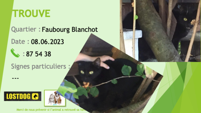 Trouvé - TROUVE chat noir au Faubourg Blanchot le 08.06.2023 Trou2759