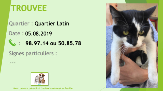 chatte - TROUVEE chatte noire et blanche au Quartier Latin le 05/08/2019 Trouv134