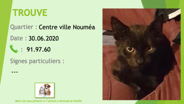 TROUVE chaton noir de 3 à 4 mois au centre ville Nouméa le 30/06/2020 Trouv654