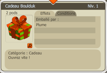 Les paquets cadeaux Cadeau13