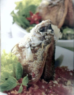 Ikan Goreng Cabai Xscjsi10