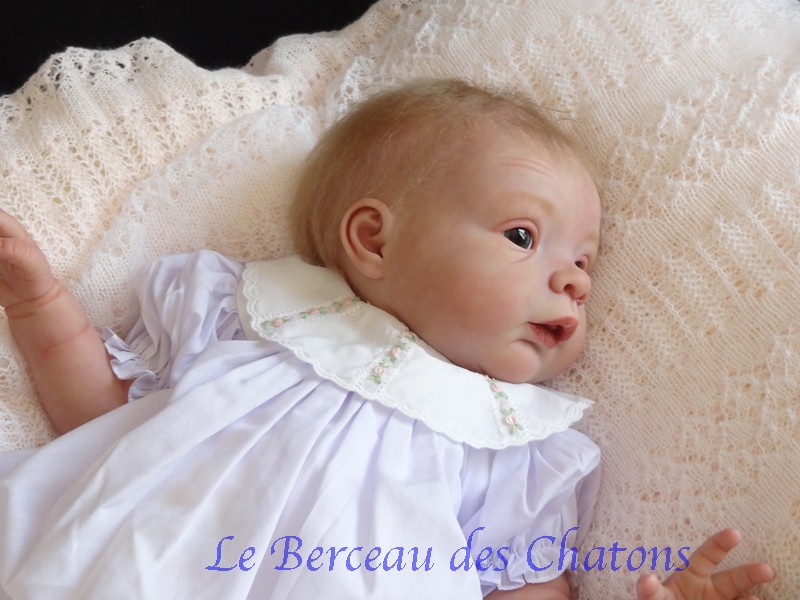 La nurserie "le berceau des chatons" Sophie11