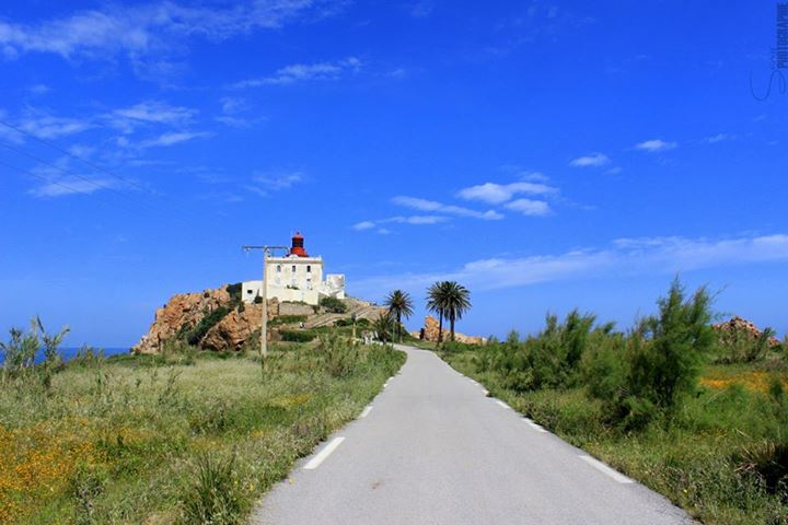 جيجل "تصوير" Jijel "PHOTOGRAPHIE" 310