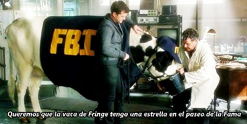  Queremos que la Vaca de Fringe tenga una estrella en el paseo de la Fama