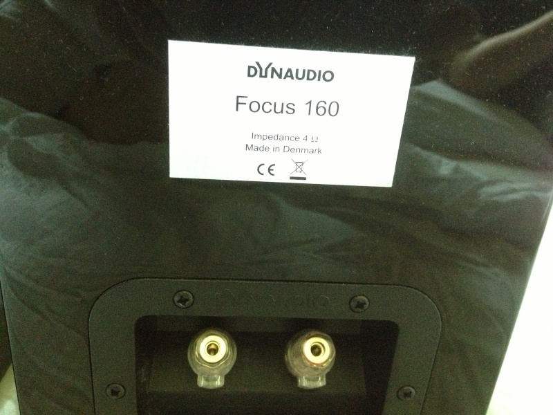 Dynaudio Focus 160 Speakers & Siltech Paris Mxt Speakers Cable (Used) Img_1616