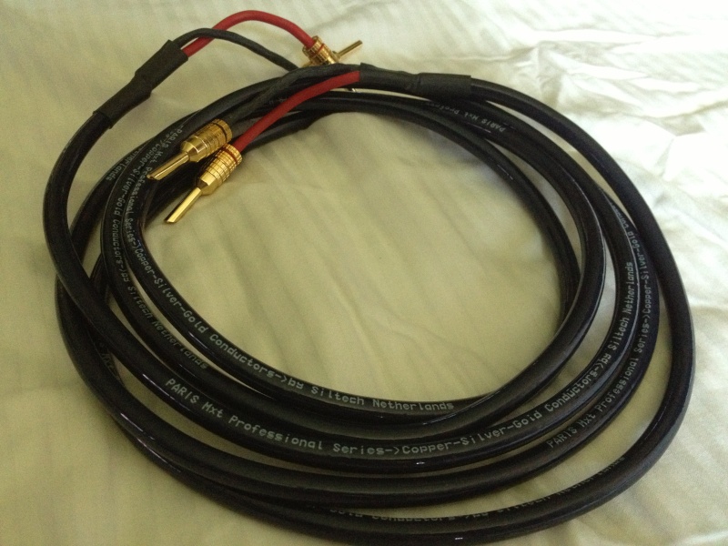 Dynaudio Focus 160 Speakers & Siltech Paris Mxt Speakers Cable (Used) Img_1617