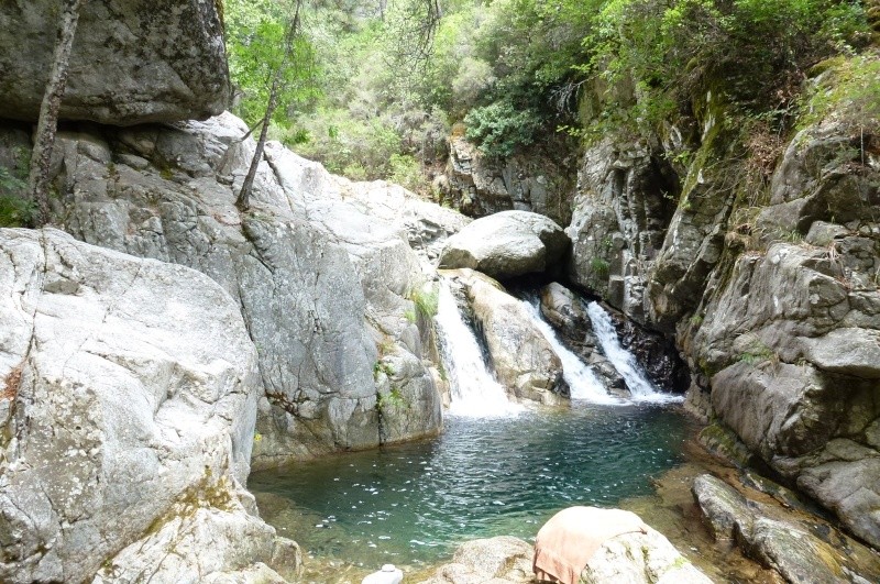 CORSICA - Diario di una vacanza ad agosto - Pagina 3 P1020910