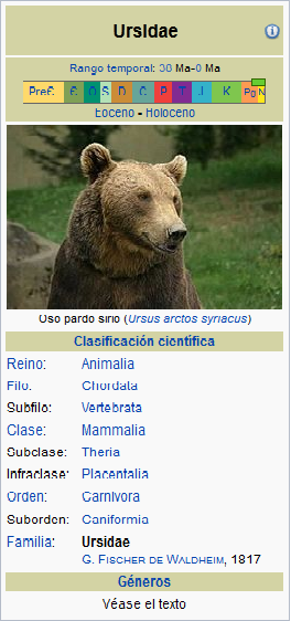 Los Osos, unos animales bellos... Osito10