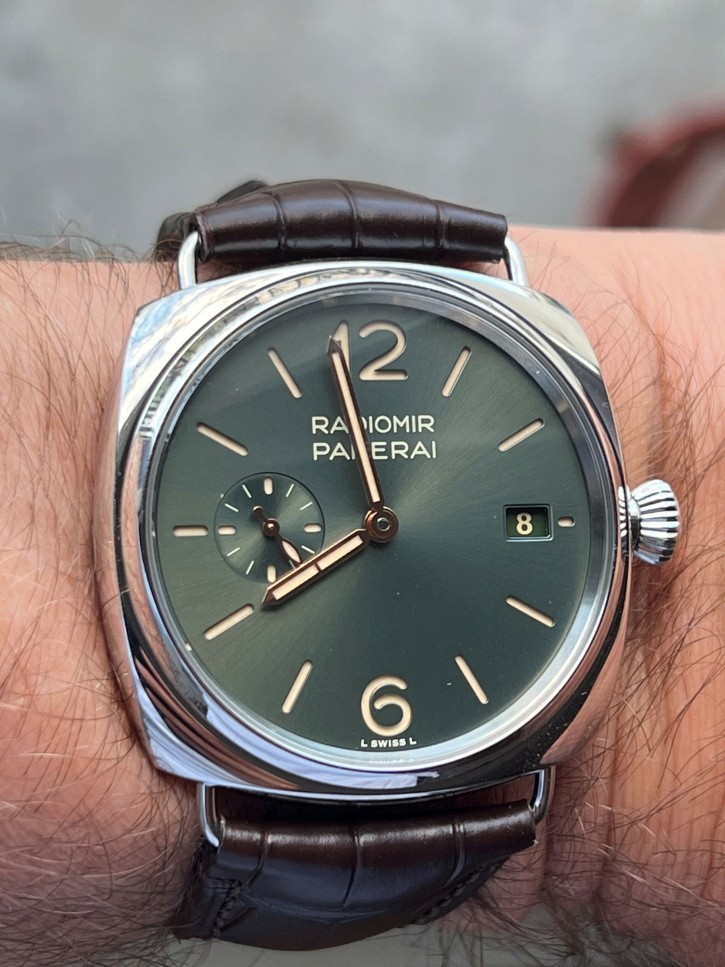 Comparaison Zénith Panerai 1_gros11