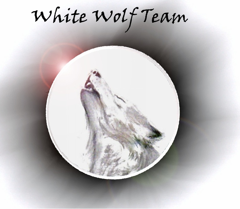 Création logo pour team et recherche personne pour tester serveur halo ce White_10