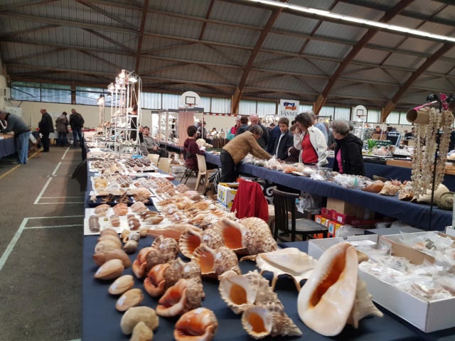 Bourse dans le Morbihan 56000 à Vannes, les 26 & 27 oct. 2019 - Page 3 20191026