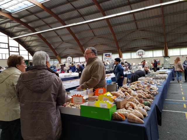 Bourse dans le Morbihan 56000 à Vannes, les 26 & 27 oct. 2019 - Page 3 20191028