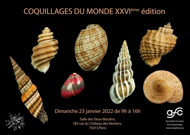 26ieme édition de la Mini bourse de Paris Fb_img16