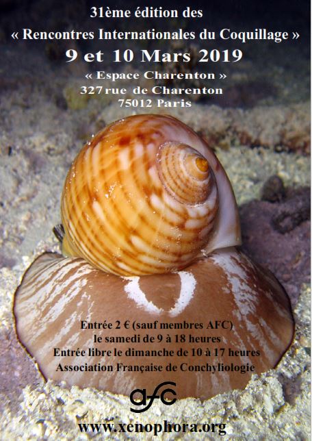 31ème Rencontres Internationales du Coquillage 9 & 10 Mars 2019 Ric20110