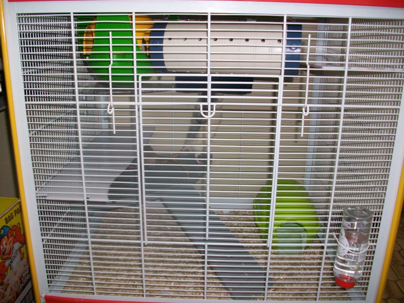 Cage Ernest & Hector 100_3117