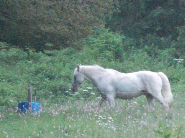 5 jours dans le  Vercors selon DJANGO Dscn1816