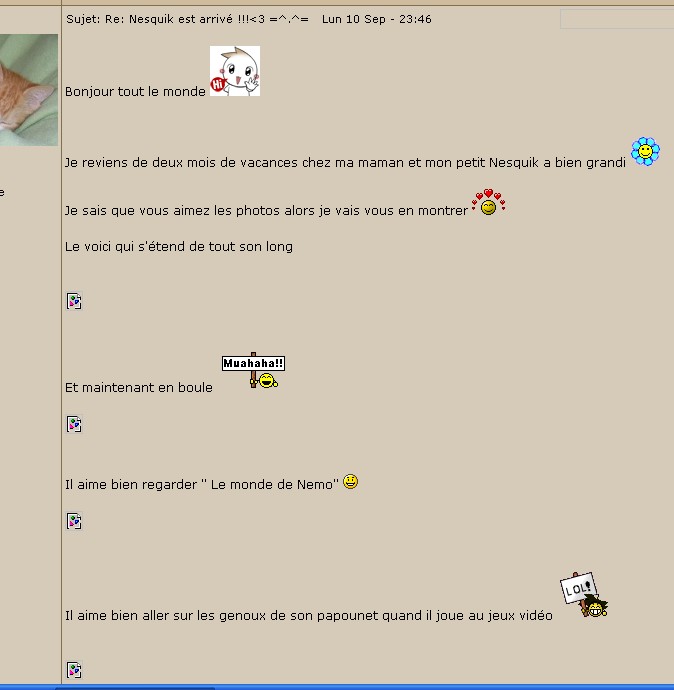 Nesquik est arrivé !!!<3 =^.^= - Page 2 Chat10