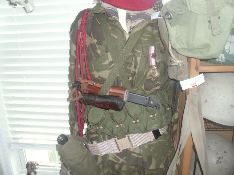 My OIF/OEF Collection 02410