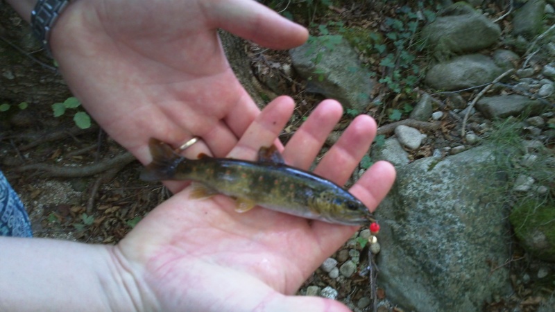 Sortie truite à la cuillère sur le ruisseau du Mas (07) 59756810