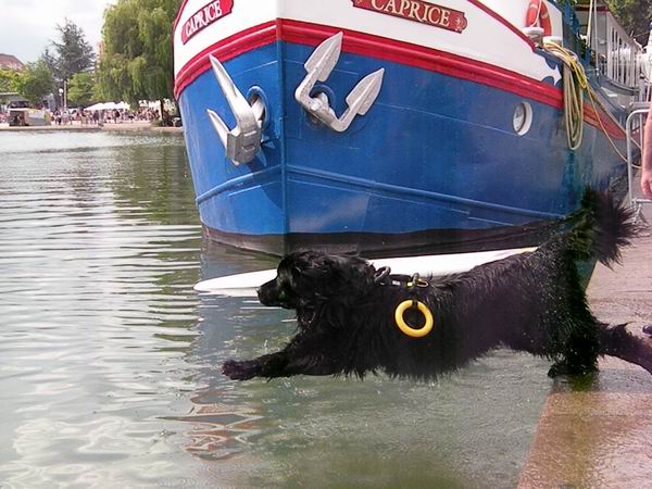 Travail à l'eau et Sauvetage nautique