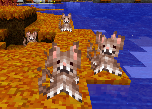 Anyone Looking For A Random Crazy Texture Pack? Try Out ZoeCraft! Cat_fl10