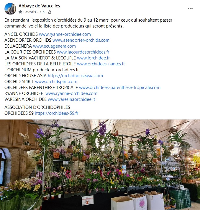 32 ème exposition internationale d'orchidées en l'abbaye de Vaucelles ( Nord ) Captur42