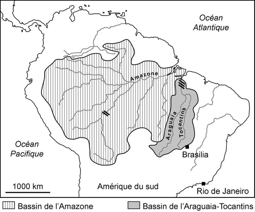 Cattleya araguaiensis   F32110