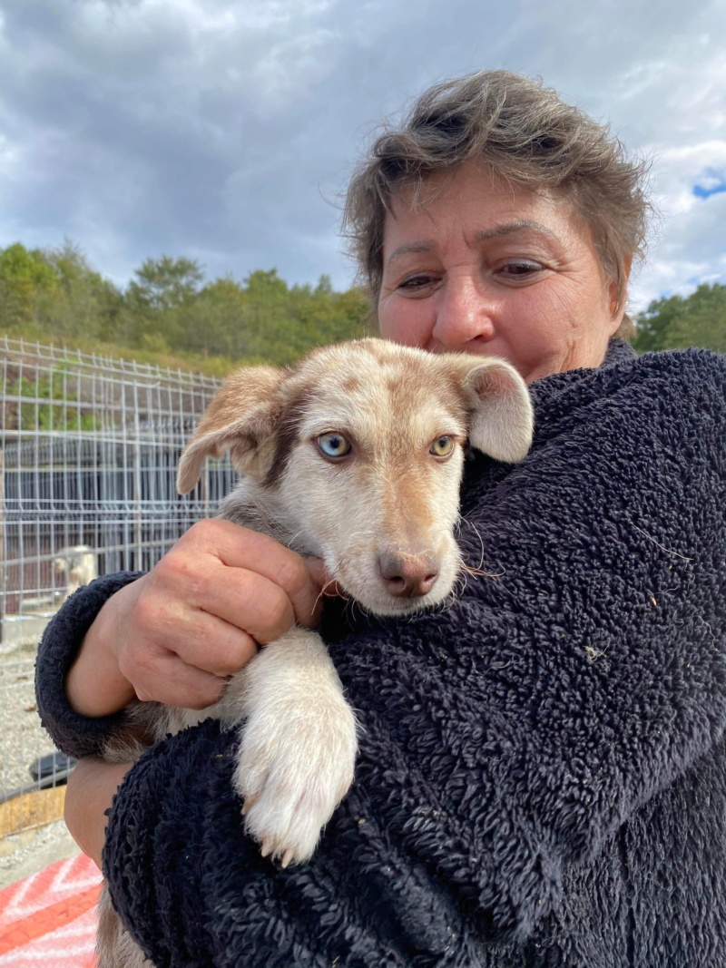 OCÉANE devenue ISORE  - chiot Elena adopté par Marie Pia JOVE 33 10275410