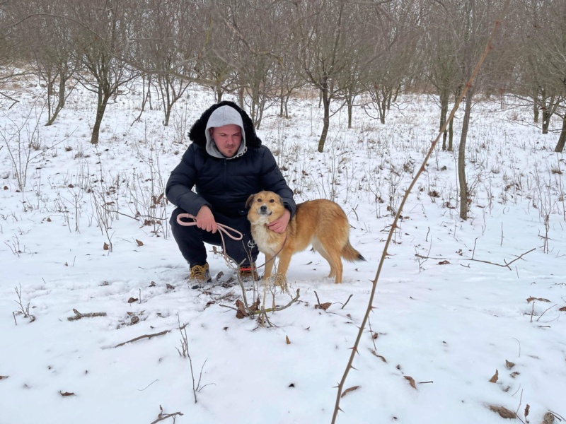 GINGER (Ruby) - arrivée chez Elena 24 janvier 2022 adoptée par Amandine J dans le 74 1f0c7410