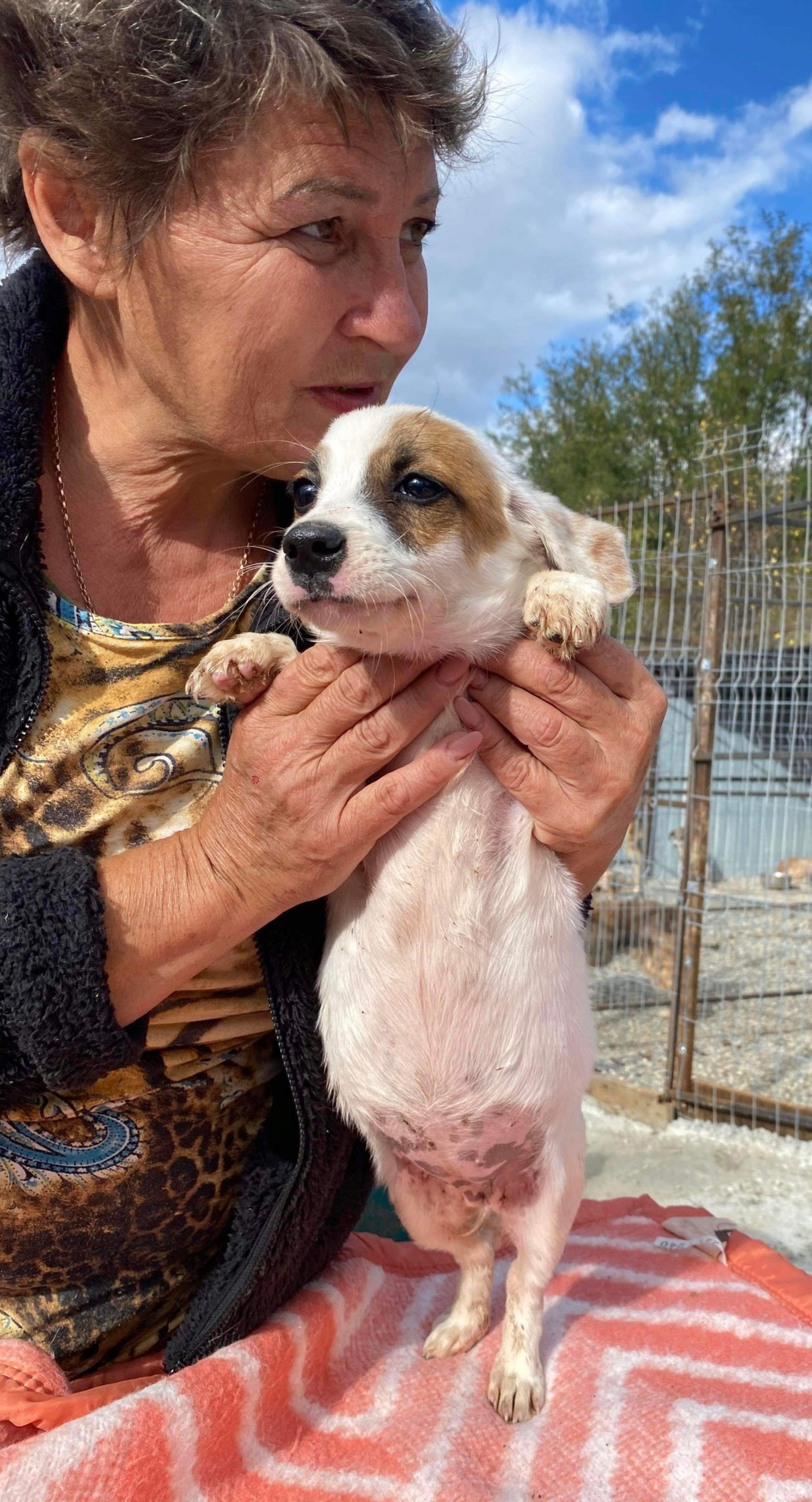 ELSA - chiot Elena adoptée par Marie F. dans le 69 215c5010