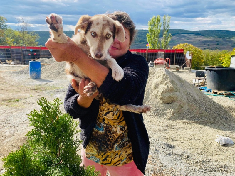 OCÉANE devenue ISORE  - chiot Elena adopté par Marie Pia JOVE 33 562d9210