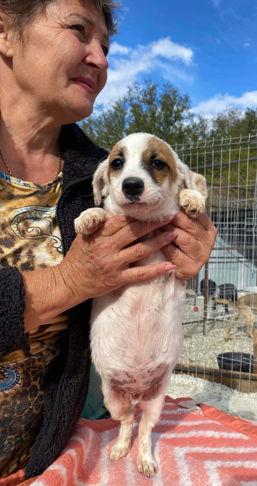 ELSA - chiot Elena adoptée par Marie F. dans le 69 6ce9aa10