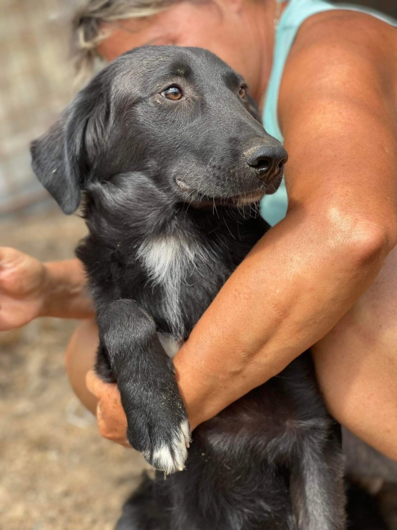 KAKI ✅  (Veronique Arno) bébé maman Calarasi - SPA LAON 82c03410