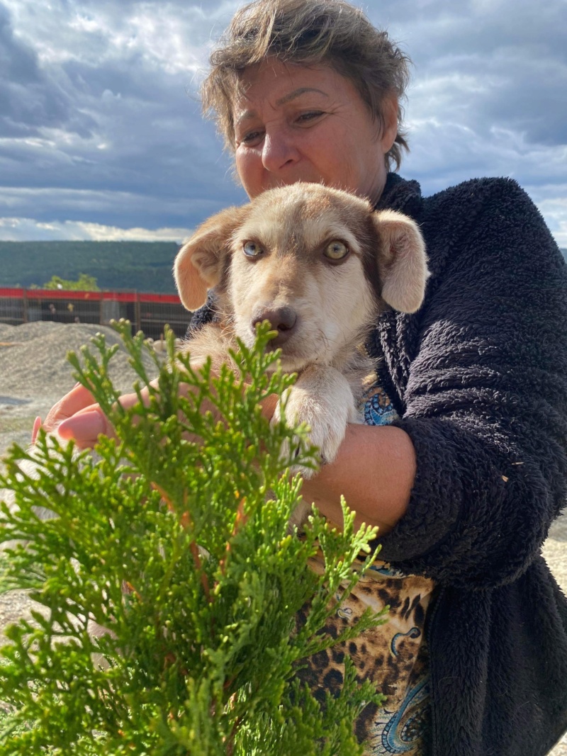 OCÉANE devenue ISORE  - chiot Elena adopté par Marie Pia JOVE 33 Bf262310