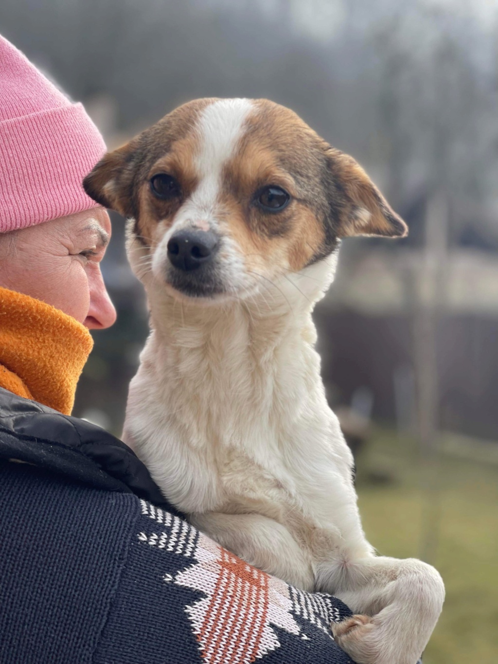 DIXIE devenue PAILLETTE - chien Elena - adoptée par Ingrid D. dans le 83 De24b910