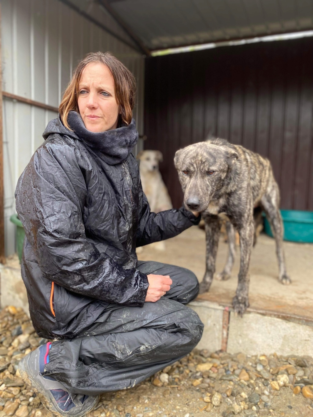 ULYSSE devenu BLUE - (Veronique LE CUNFF) - Cornetu 22/03/23 ✅ adopté par Rose M. 19 Img_3039