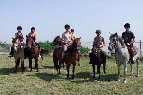 BALADES EQUESTRES COMMENTEES AU DEPART ET SUR LE PORT DE LAMARQUE 11157610