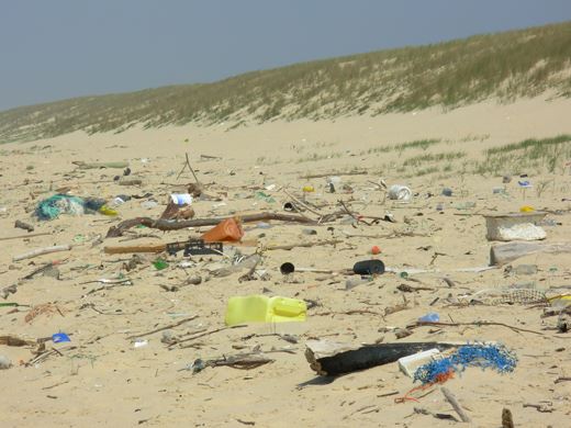 Protégeons nos plages et nos dunes 99299810